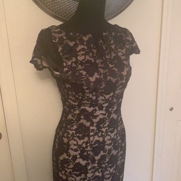 ABC Allen Schwartz Size Medium Dress Never Worn - Picture 2 of 11